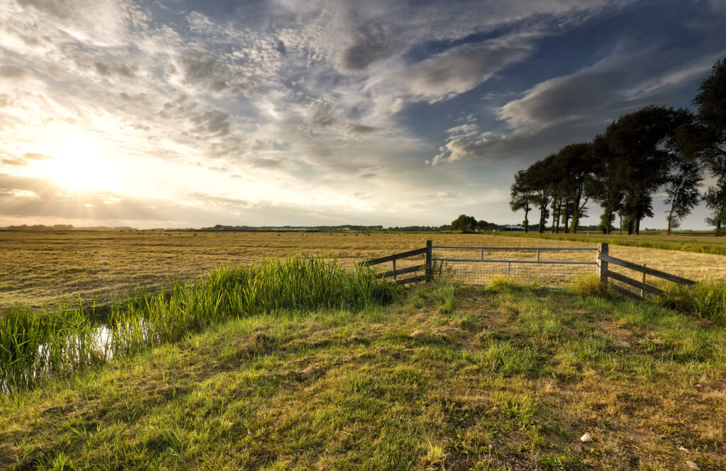 Grünes Ackerland bei Sonnenuntergang