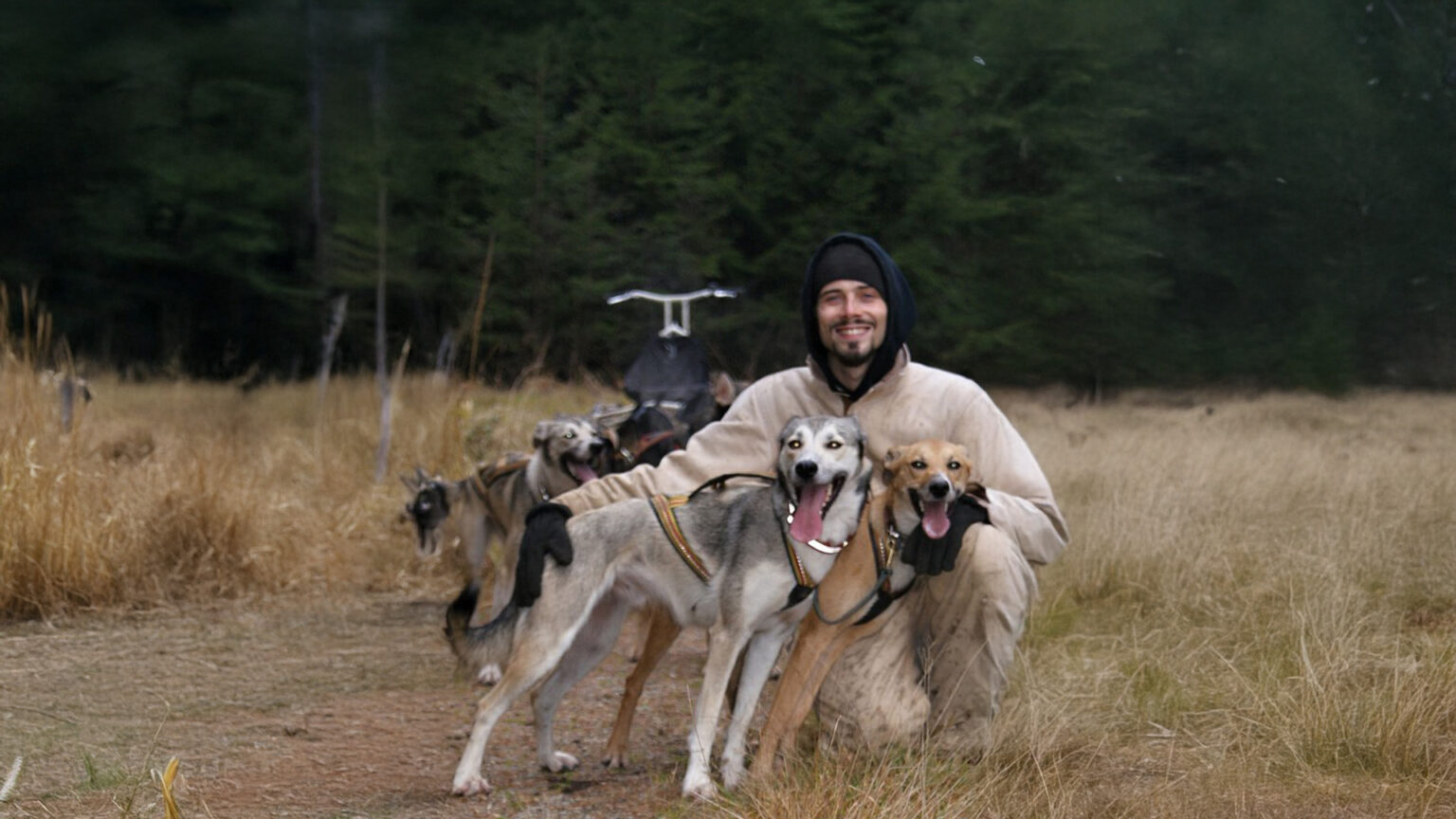 Mitten im Waldviertel: Eine Husky Ausfahrt in Österreich bietet unvergessliche Naturmomente – geführt von Roman Brunner und seinem erfahrenen Hundeteam.